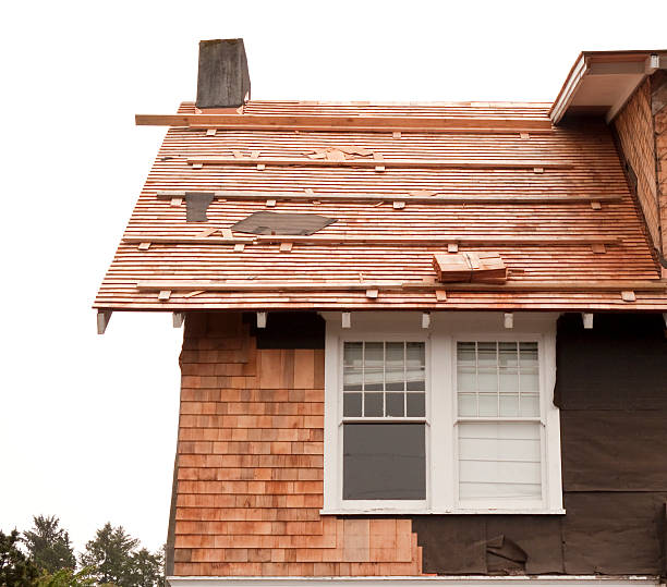 Best Historical Building Siding Restoration  in Woodmont, CT